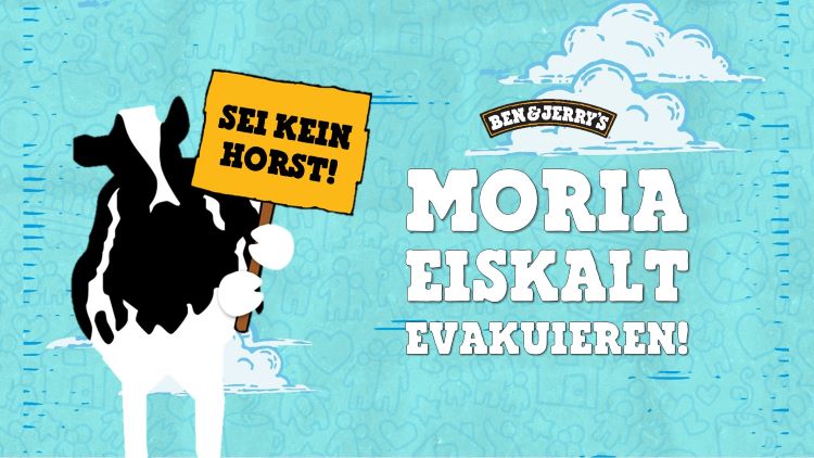 Sei kein Horst Blog 750.jpg
